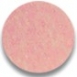 FL1